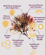 Load image into Gallery viewer, Purple Sea Moss